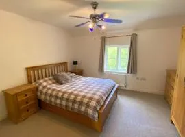 Top floor room in Swansea