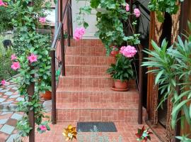 Casa Fabrizio, hotel in Călimăneşti