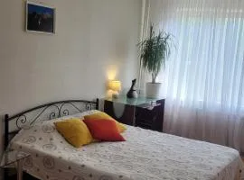 Затишна квартира в центрі Оболоні м Київ