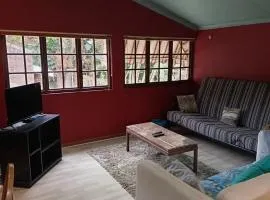 Apartment-double storey-2 bedrooms-own bathroom, kitchen, dining room, entrance, lounge, patio