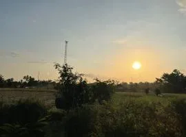 Golden Mango Farmstay