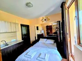 Apartment - Studio Cucetno