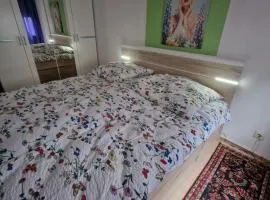 Ferienwohnung im Zentrum von Villingen-Schwarzwald, nahe Bahn-Bus