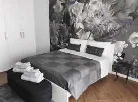Apartments Le Rondini 1