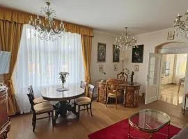 Luxury Gato View Apartment Karlovy Vary with private parking
