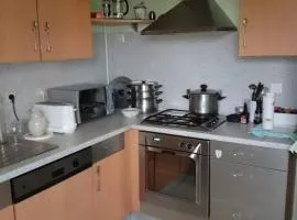 Appartement chaleureux