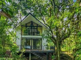 The Lake House