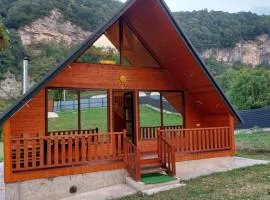 საოჯახო კოტეჯი ფშუქები