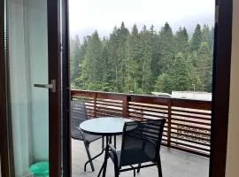Panorama Pine Retreat - Spacious 2-Bedroom Flat