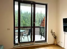 Panorama Pine Retreat - Spacious 2-Bedroom Flat