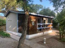 Chalet à Gassin au calme sous les pins