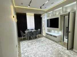 Luxury Apartment in City Center