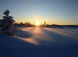 16 - Fulufjellets nasjonalparker - snø - alpint - langrenn - snøscooter