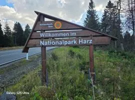 MaiFerien Harz - Haus Goldstrahl