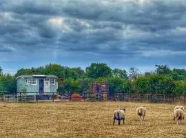 The Meadows Hut