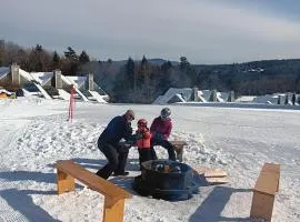 SKI IN OUT w Fireplace at Tenney & 3 more Indy Pass Mts