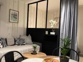 Appartement moderne tout équipé