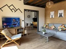 Duplex 4 étoiles, Villard-de-Lans, 8 pers, lumineux - FR-1-548-49