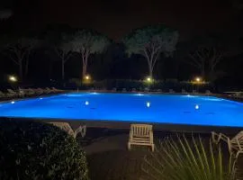 Appartement 1 chambre et double balcon