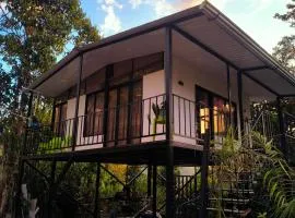 Alma luna