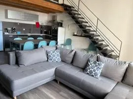 Loft-style apartment, Pierrelatte
