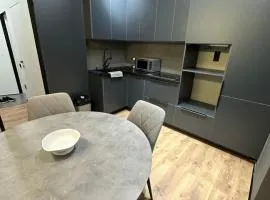 Comfort city apartment