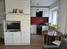 Alytus Studio 45