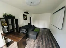 Black Apartment at Blossom Hill