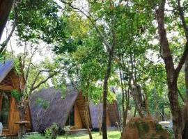 Balili Farm At Nacpan Free Motorbike Free Drop Off Free Pick up to town