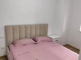 LCB Apartments Traian Vuia