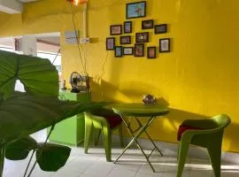 New View Homestay
