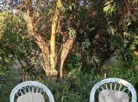 Il Giardino