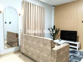 Studio Aulia, Dungun, Terengganu