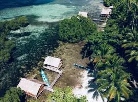 Walking Shark Guest House