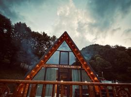 Chalet Carolina, hotel v destinácii Padeş