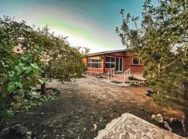 The Brick House