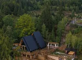 Black Roof