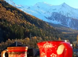 Le Chamois 5E Balcon panoramique MontBlanc avec parking gratuit