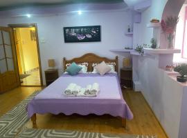 Central Home, hotel in Piatra Neamţ