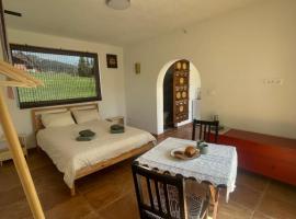 Vila Malina, hotel in Gaberje