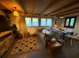 Chalet Opalpin Lodge & Spa, vue montagne et jacuzzi