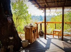 Rustic Cabin in the Galilee with Pastoral Views