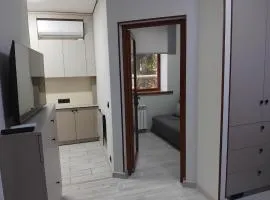 Nice hause