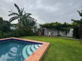 Viangel 2