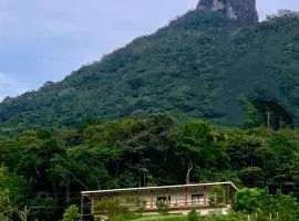 Bosque Místico
