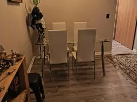 Arriendo departamento amoblado por día