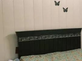 Ayaan homes