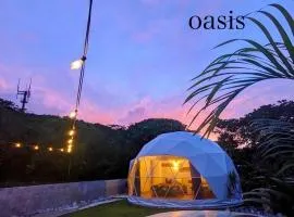Seagull oasis