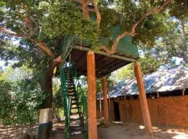 Yala Wild Tree House