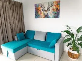 Anandam Luxury Hill View 1BHK in Pune